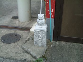 フクロウ02