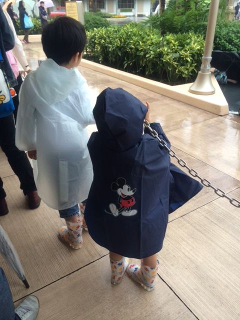 雨のディズニー そろそろがんばろう