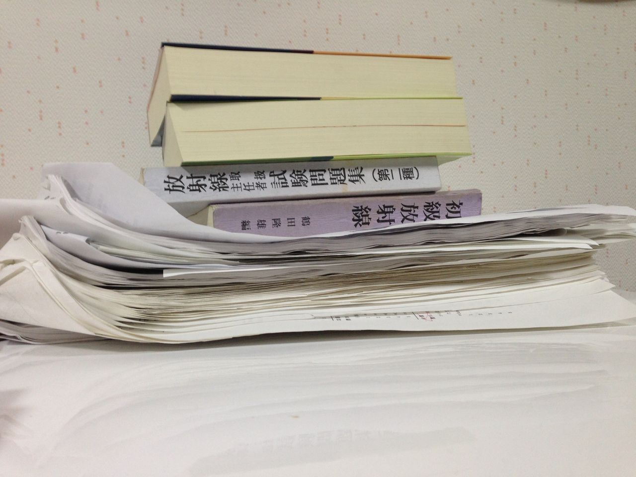 ねみい 明日はどっち 究極の駄目人間は語る ねみい 明日はどっち 究極の駄目人間は語る