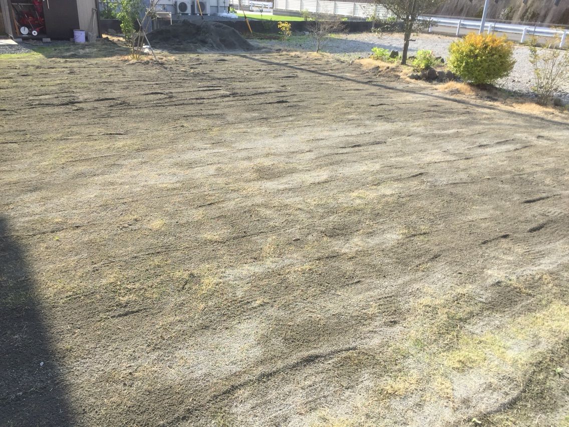 芝庭に川砂を もっちーの家内安全かわら版