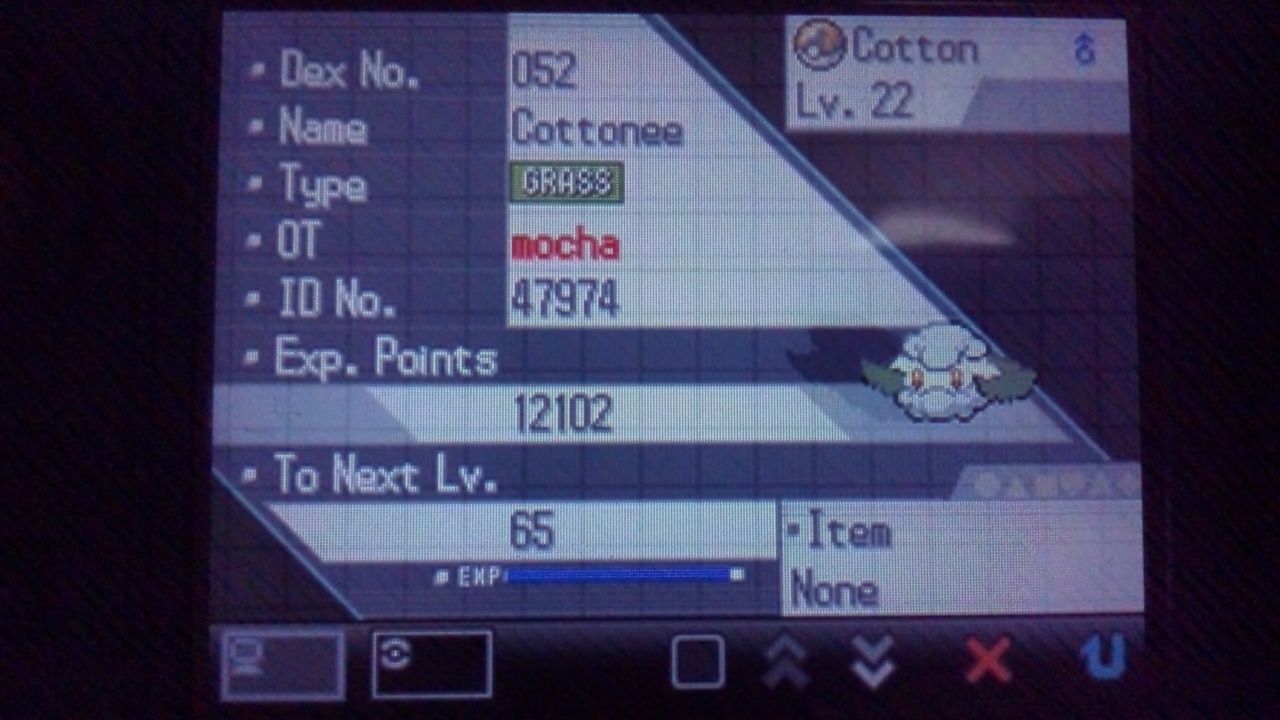 ポケモンブラック制限プレイ 05 モカのつれづれ帳 ポケモンブラック制限プレイ 05 モカのつれづれ帳