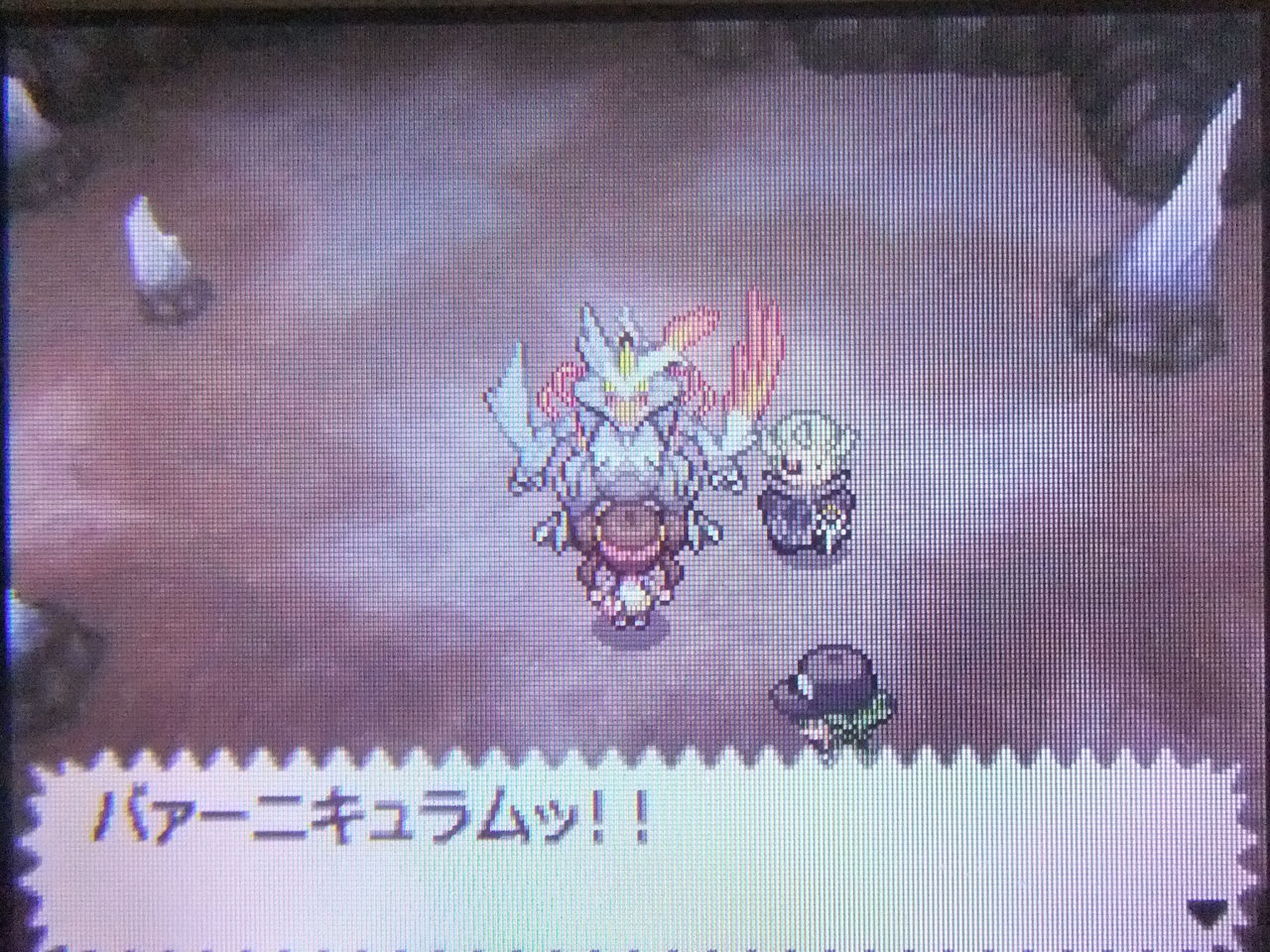 ポケモンホワイト2制限プレイ 11 モカのつれづれ帳