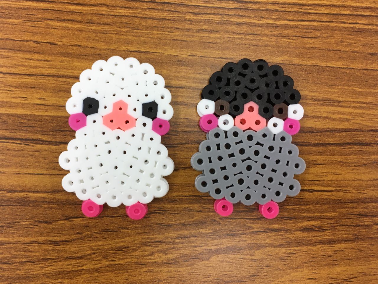 膝の上の大福 白文鳥 もちぶろぐ