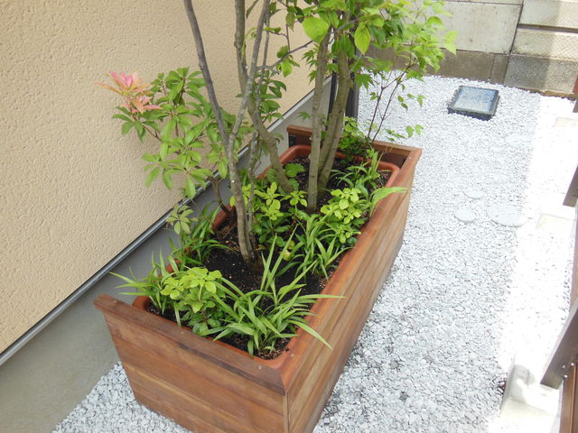 雑木のプランター 持井工務店 スタッフ日記 雑木のプランター 持井工務店 スタッフ日記