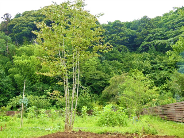 DSCN0056 (2)