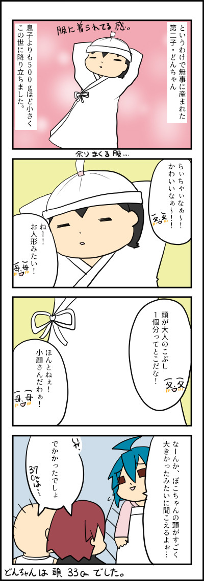 どん7