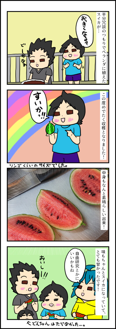 すかい