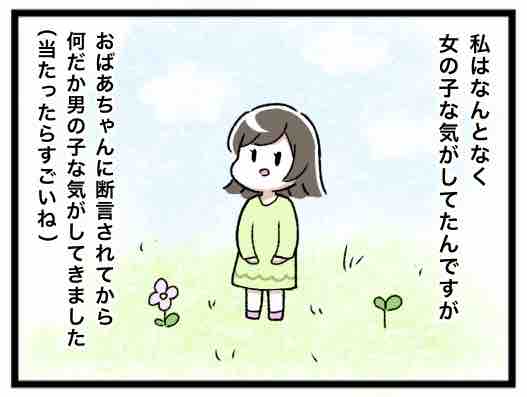 おばあちゃんの性別当て もちもち家族 新婚夫婦 妊娠中絵日記ブログ