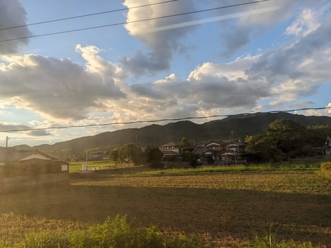 PXL_20230806_092901834
