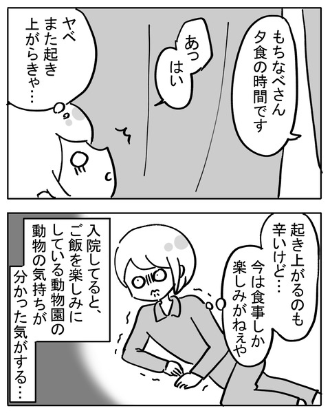 sikyukinnsyu120