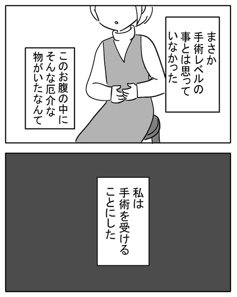 sikyukinnsyu32