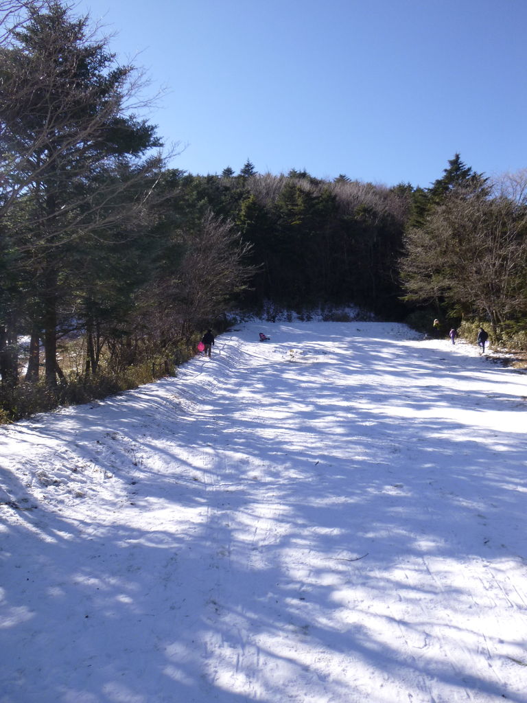水ヶ塚公園 その1 富士山の麓で雪遊び もちぱぱcafe 水ヶ塚公園 その1 富士山の麓で雪遊び もちぱぱcafe