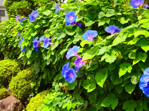 P7200030