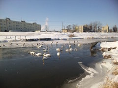 �ˤˤ�����