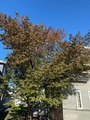 IMG_0330