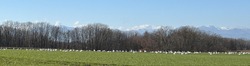 IMG_8038