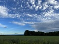 IMG_6029