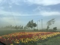 IMG_5576