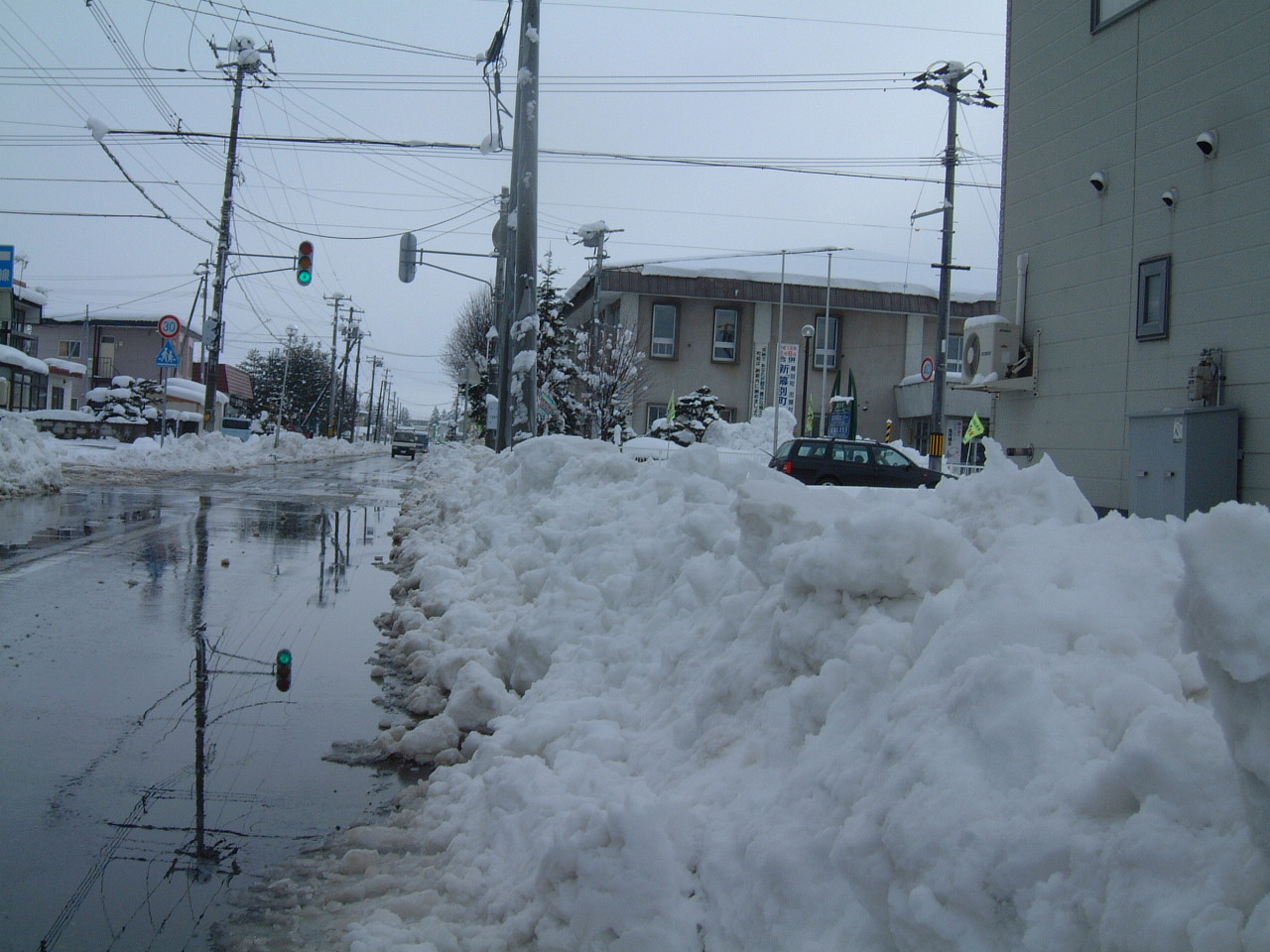 北の(来たの？)獣医師 : ドカ雪