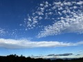 IMG_6032