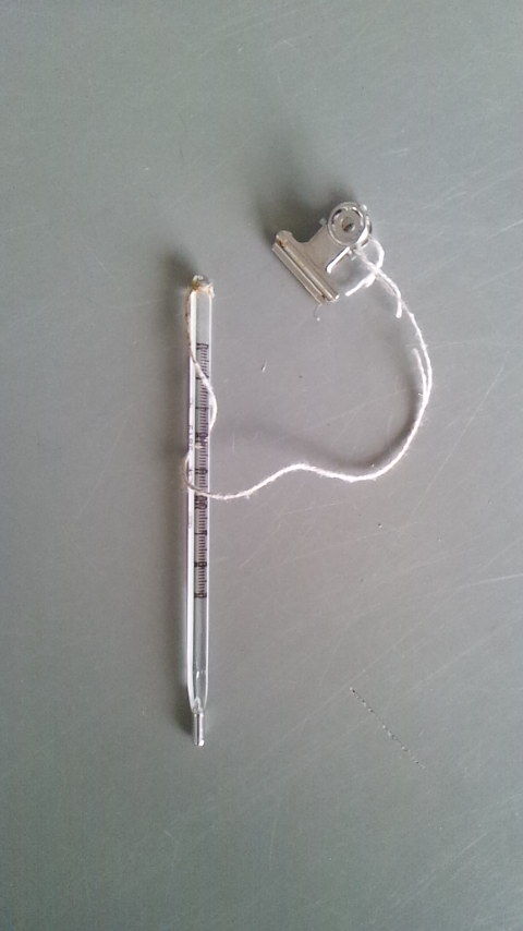 北の 来たの 獣医師 体温計を入れたまま忘れるミスについて