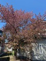 IMG_0314
