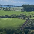 IMG_0944