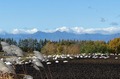 IMG_7888
