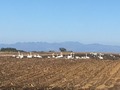 IMG_6213