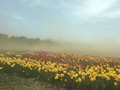 IMG_5575