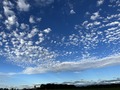 IMG_6030