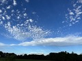 IMG_6033