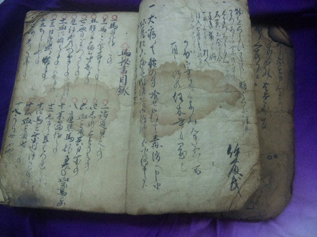 徳川時代の馬医書 : 北の(来たの？)獣医師