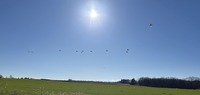 IMG_8035