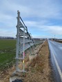 IMG_2995
