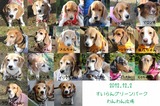 2012suiran