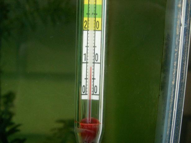 熱帯魚水槽の冬支度 3坪ファームで魚と虫を愛でる