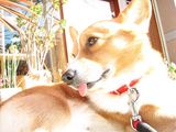 IMG_0505
