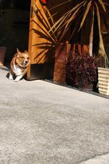 IMG_0713
