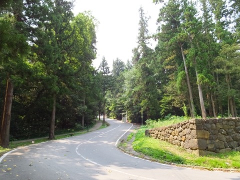 DSCF0150