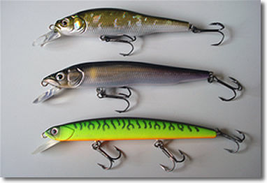 minnow2