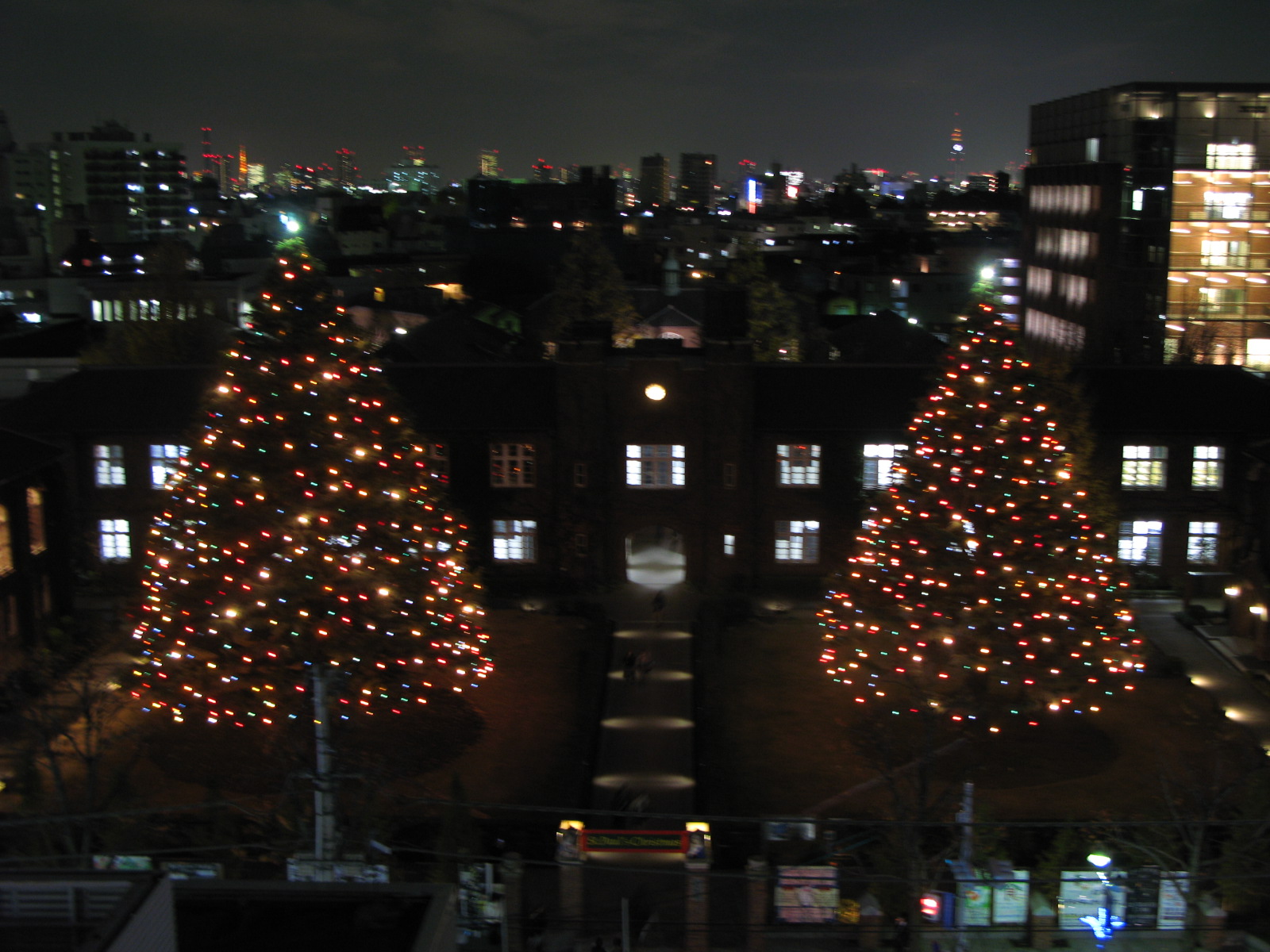 立教大学のクリスマスツリー 池袋 雑貨カフェ 禁煙カフェ Model T