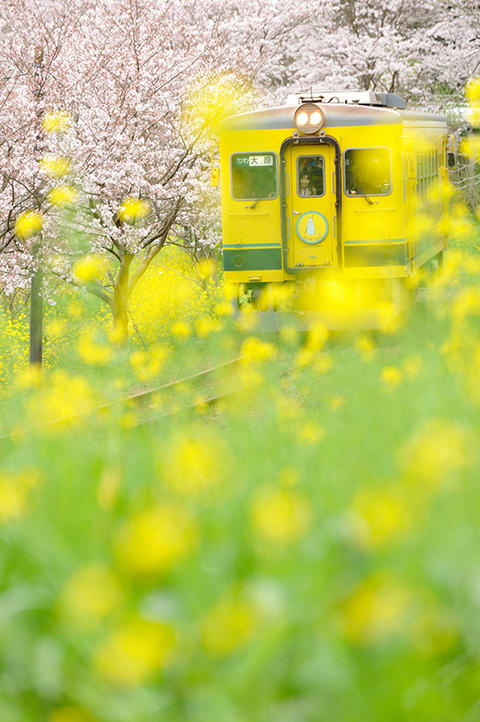 shiki-main-photo