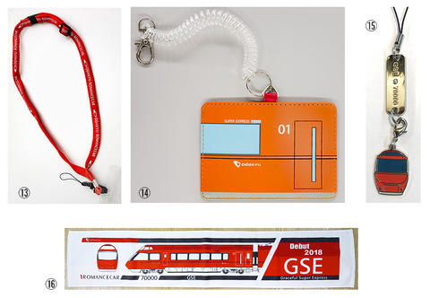 GSE_13_16
