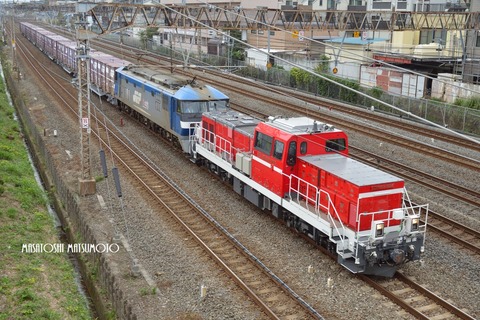 D4Q_8028n