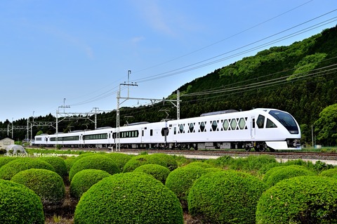 Z6N_4371an