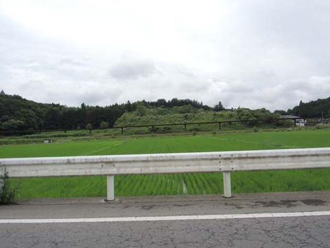 MT-20130718-01