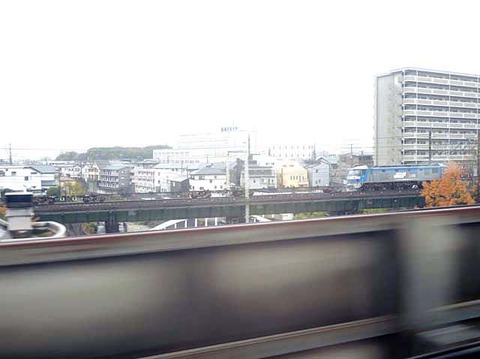 DSCN5219