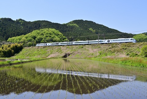 Z6N_4168an