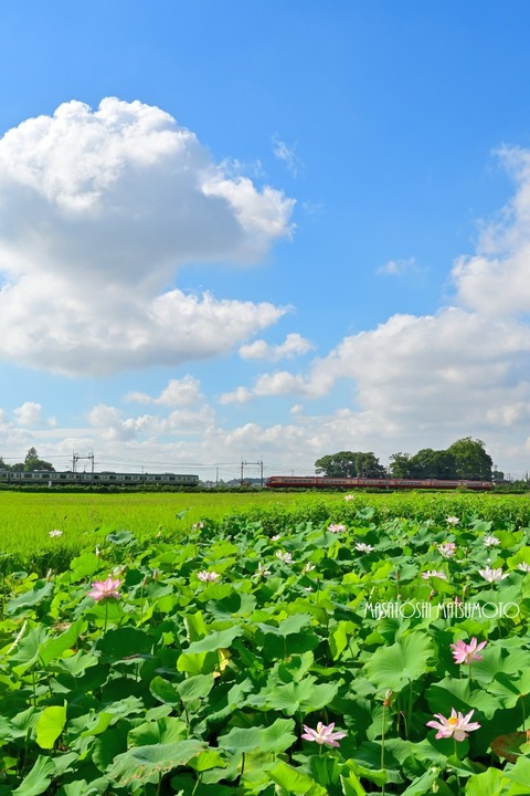 Z6I_0731an